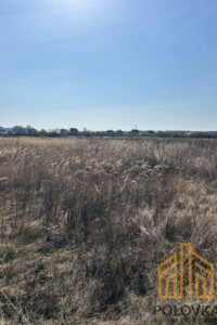 Продажа земли сельскохозяйственного назначения, Закарпатская, Сторожница