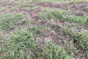 Купить землю под застройку в Одесской области