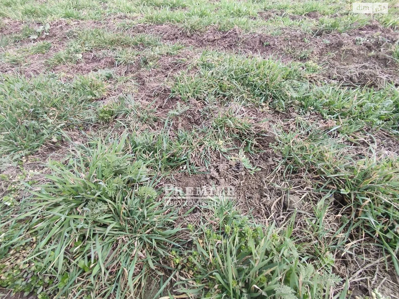 Продается земельный участок 5 соток в Одесской области, цена: 35000 $ - фото 1