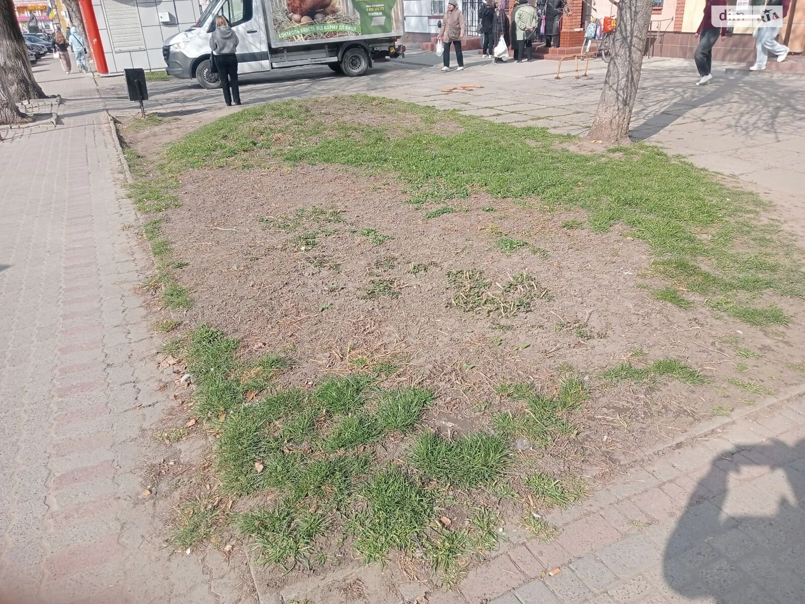 Сдается в аренду земельный участок 0.0045 соток в Львовской области, цена: 10407 грн - фото 1