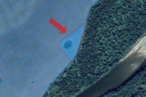 Продажа земли сельскохозяйственного назначения, Львовская, Нижнее Синевидное