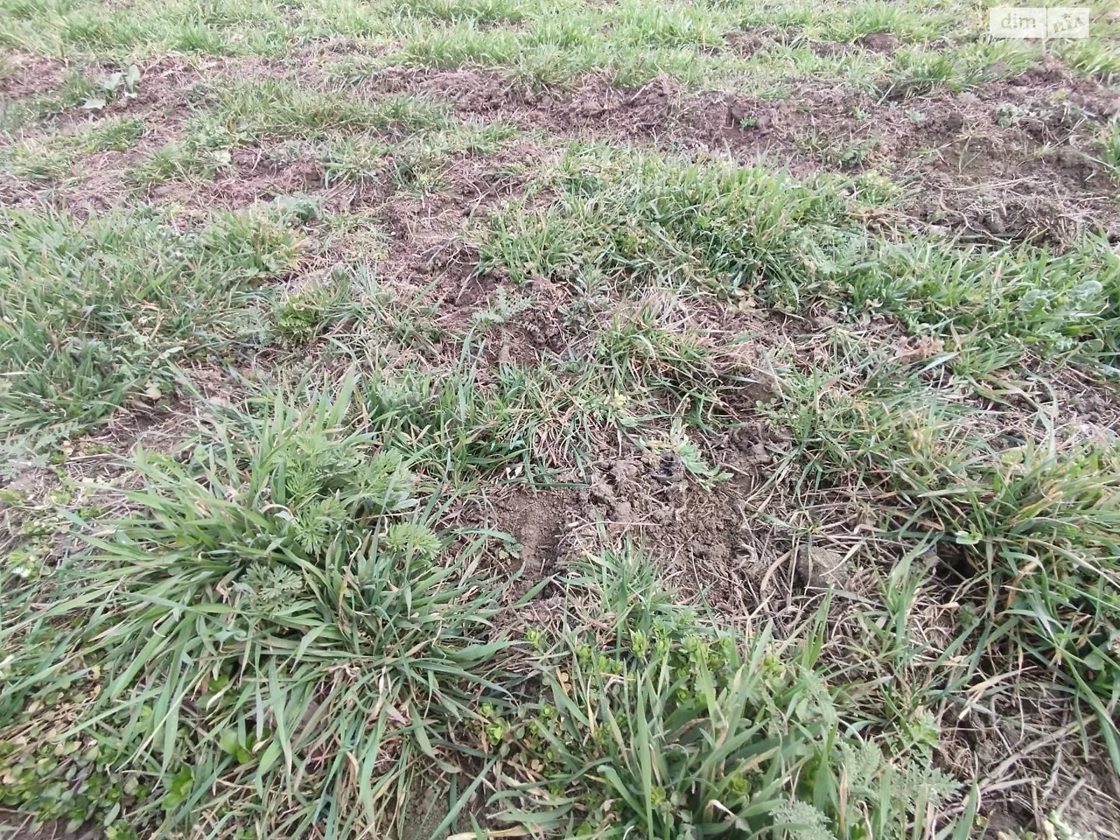 Продается земельный участок 5 соток в Одесской области, цена: 35000 $ - фото 1