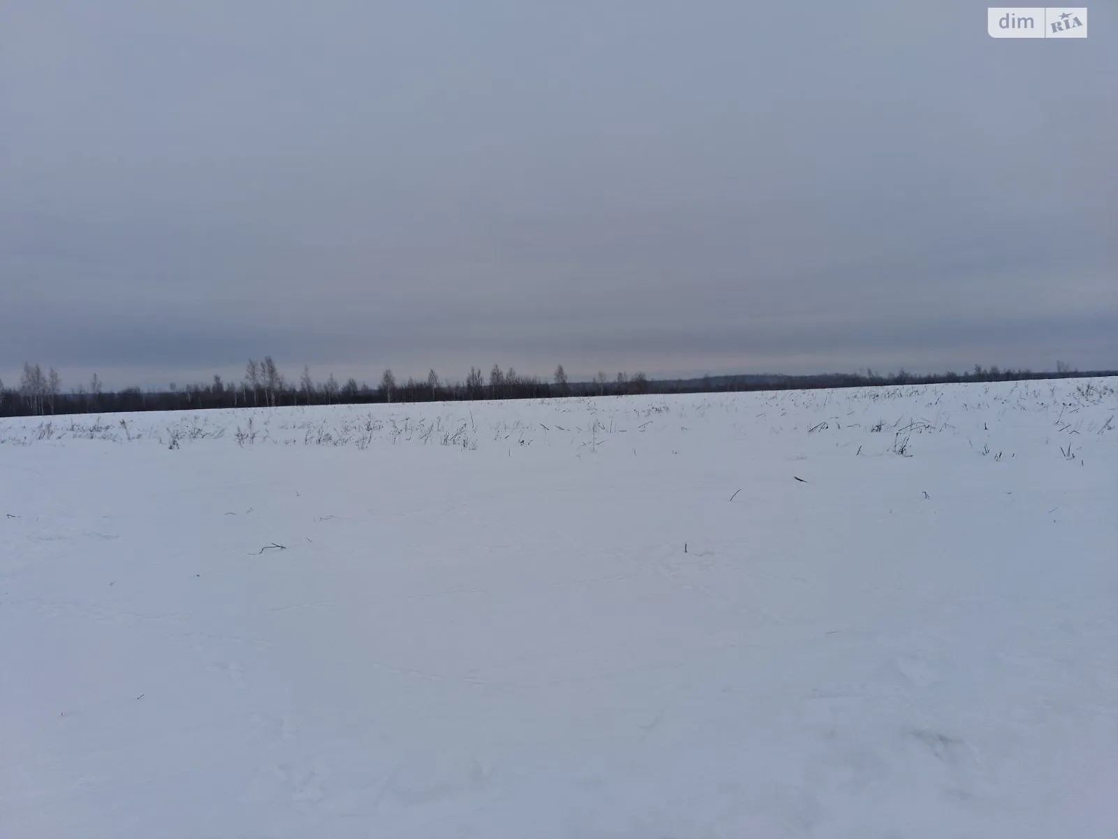 Сдается в аренду земельный участок 16.2721 соток в Житомирской области, цена: 15151 грн - фото 1