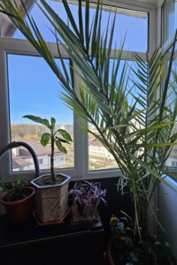 Продаж квартири, Івано-Франківськ, р‑н. Брати, Івасюка вулиця