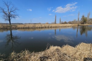 Куплю земельный участок в Ирпене без посредников