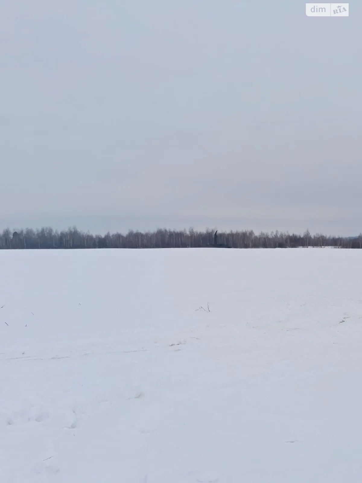 Видень, цена: 7019 грн - фото 1
