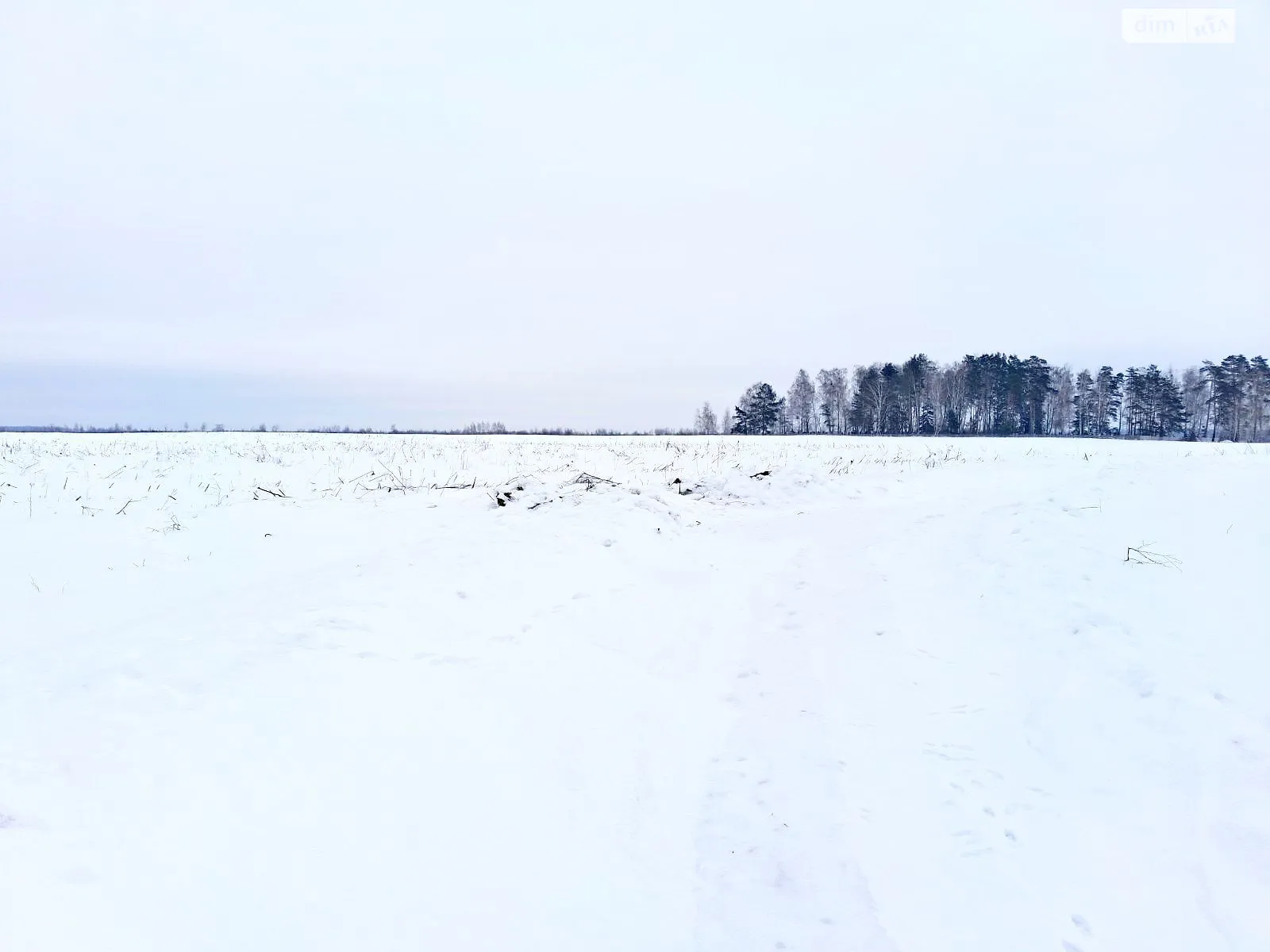 Видень, цена: 14123 грн - фото 1