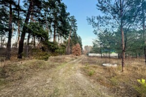 Продаж землі сільськогосподарського призначення, Київська, Забір'я