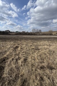 Продаж землі сільськогосподарського призначення, Хмельницька, Лісові Гринівці