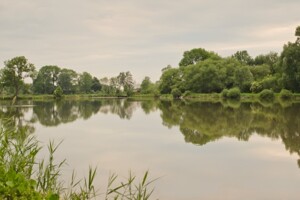 Купить землю под застройку в Львовской области