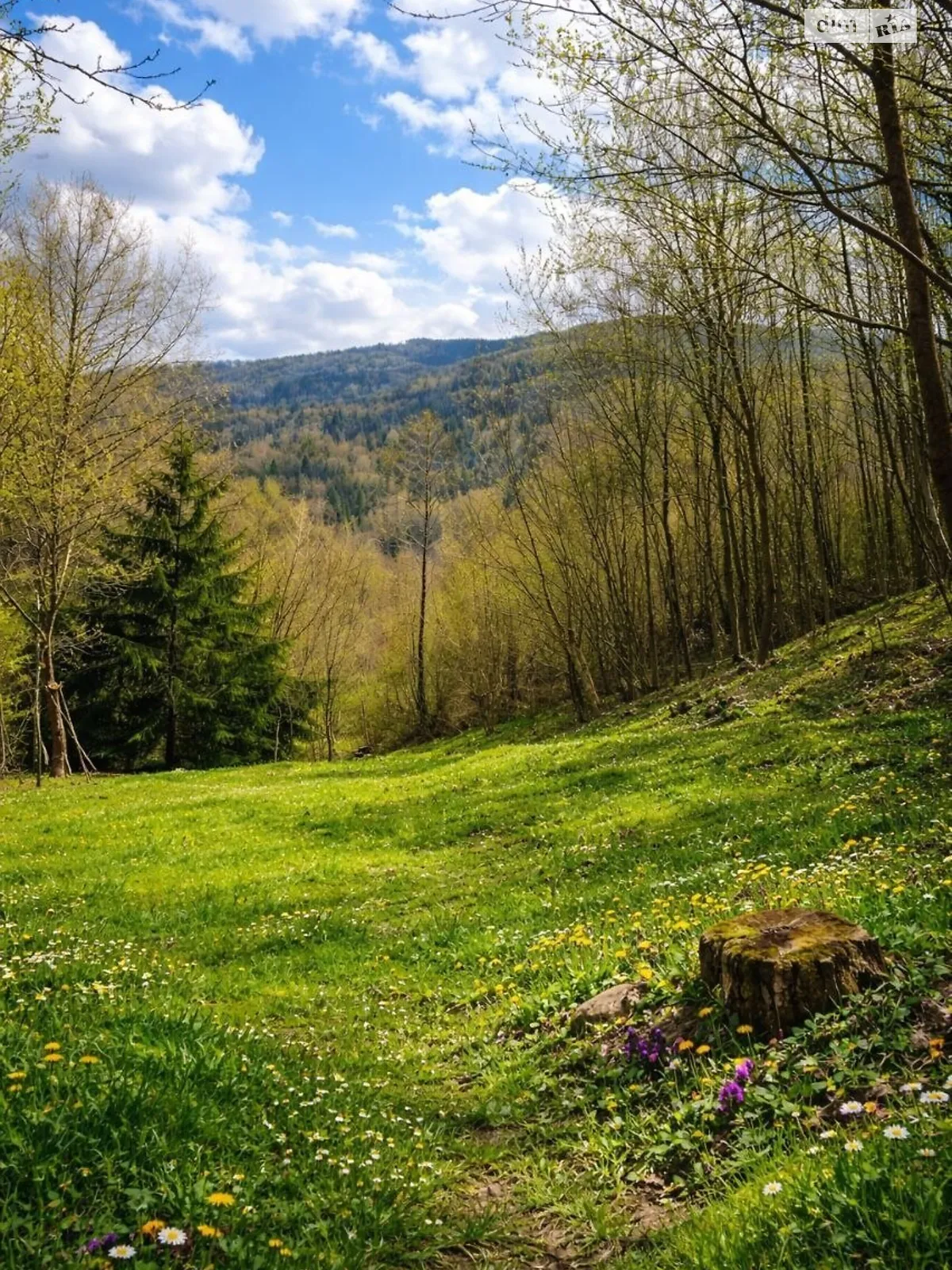 Пасека, цена: 19000 $ - фото 1