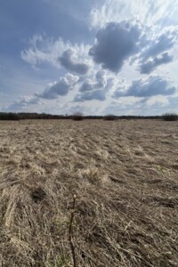 Продаж землі сільськогосподарського призначення, Тернопільська, Петриків