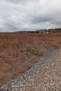 Продажа земли сельскохозяйственного назначения, Винницкая, Якушинцы