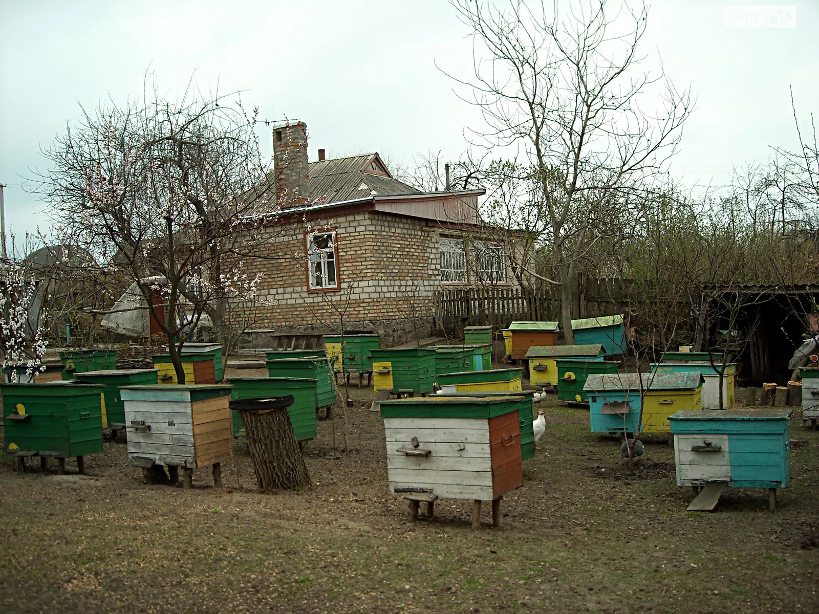 вулиця Кірова Залевки, цена: 25000 $ - фото 1