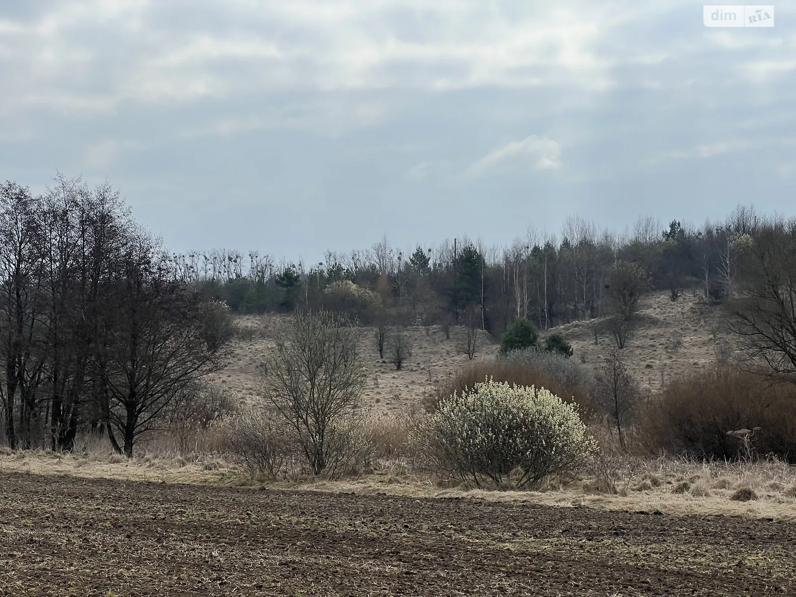 Продается земельный участок 10 соток в Хмельницкой области, цена: 4000 $ - фото 1