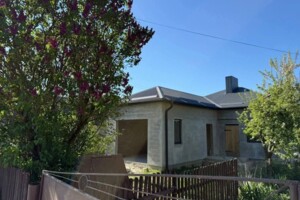 Продажа дома, Тернопольская, Великие Млыновцы, Садовая улица