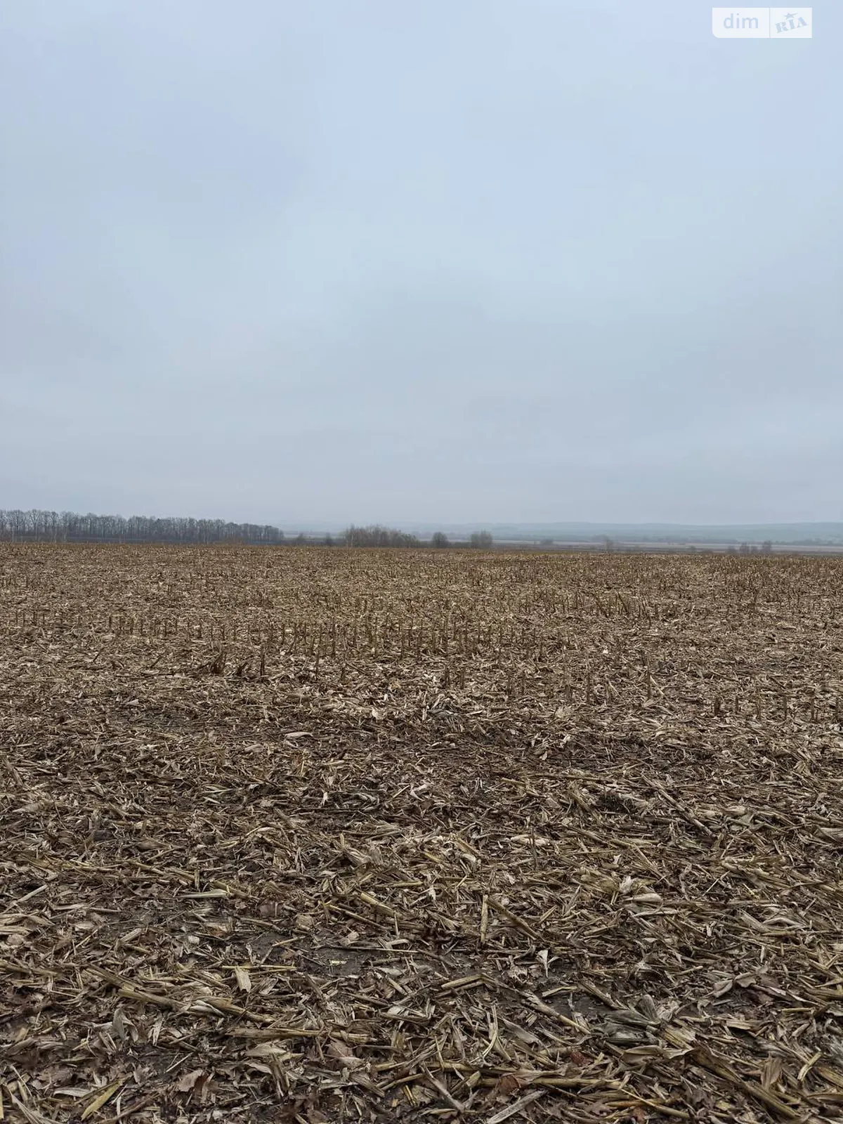Продается земельный участок 600 соток в Хмельницкой области, цена: 295000 $ - фото 1