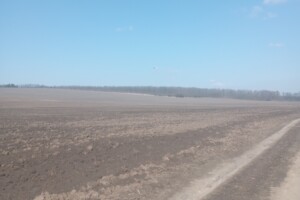 Сниму земельный участок в Василькове долгосрочно