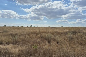 Продаж землі сільськогосподарського призначення, Одеська, Прилиманське