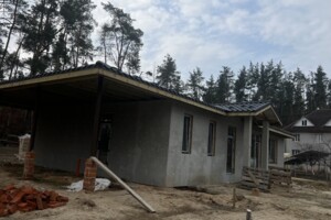 Продаж будинку, Київська, Блиставиця, Соборна (Петровського) вулиця, буд. 47