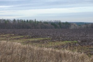 Купить землю под застройку в Киевской области