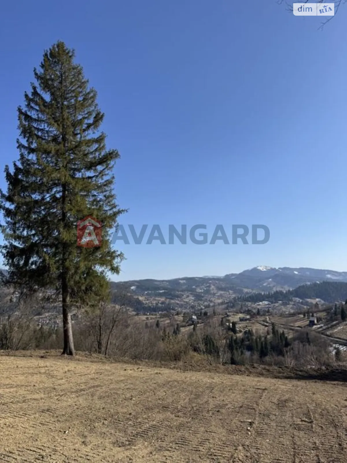 Продается земельный участок 125 соток в Львовской области, цена: 2900 $ - фото 1