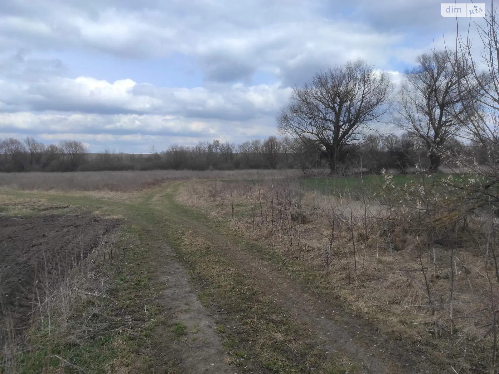 Полевые Гриневцы, цена: 11559 грн - фото 1