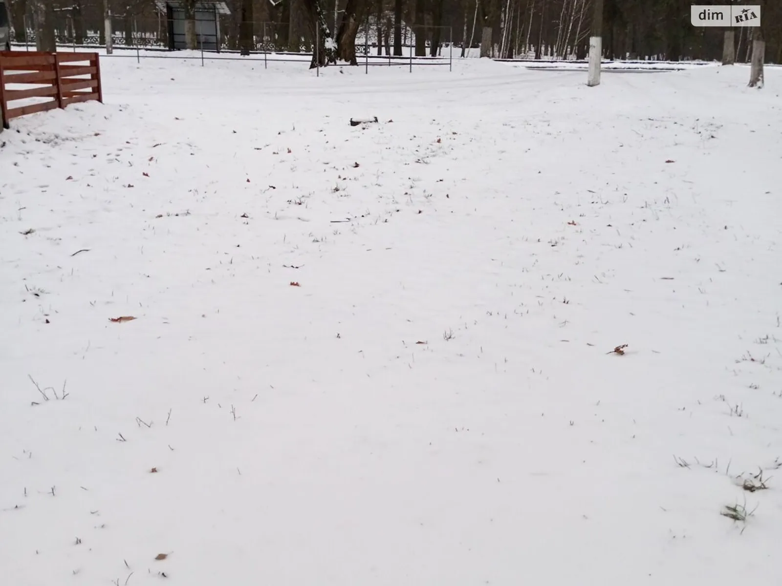 Сдается в аренду земельный участок 0.03 соток в Житомирской области, цена: 9585 грн - фото 1