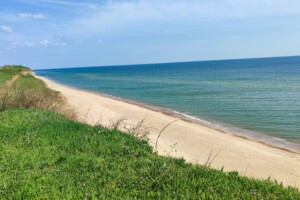 Продажа земли сельскохозяйственного назначения, Одесская, Дальник