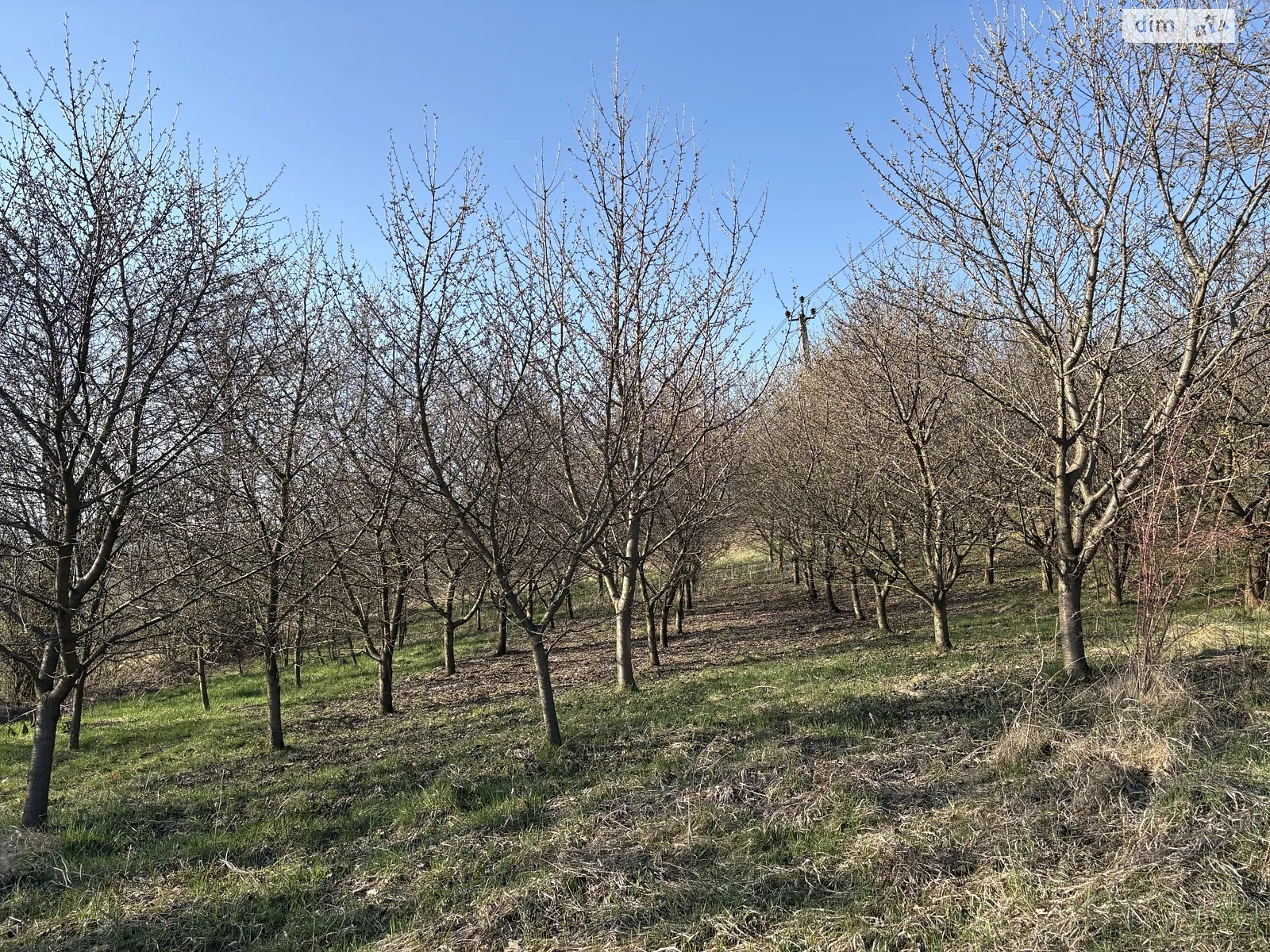 Продается земельный участок 0.1948 соток в Черновицкой области, цена: 10000 $ - фото 1