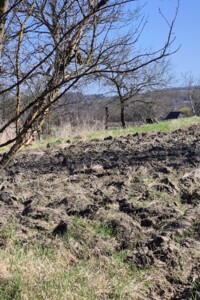 Продаж землі сільськогосподарського призначення, Вінницька, Бохоники, Гагаріна вулиця