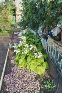 Куплю земельный участок в Кривом Роге без посредников