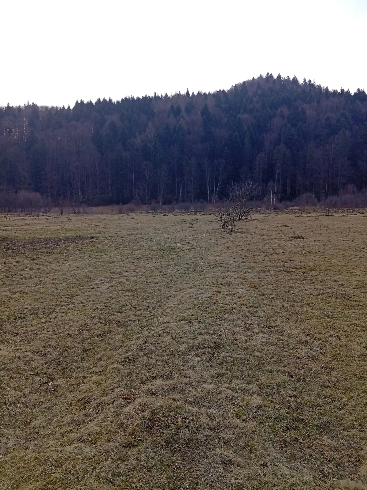 ул. Тараса Шевченко Майдан, цена: 22056 $ - фото 1