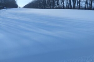Купить землю под застройку в Черниговской области