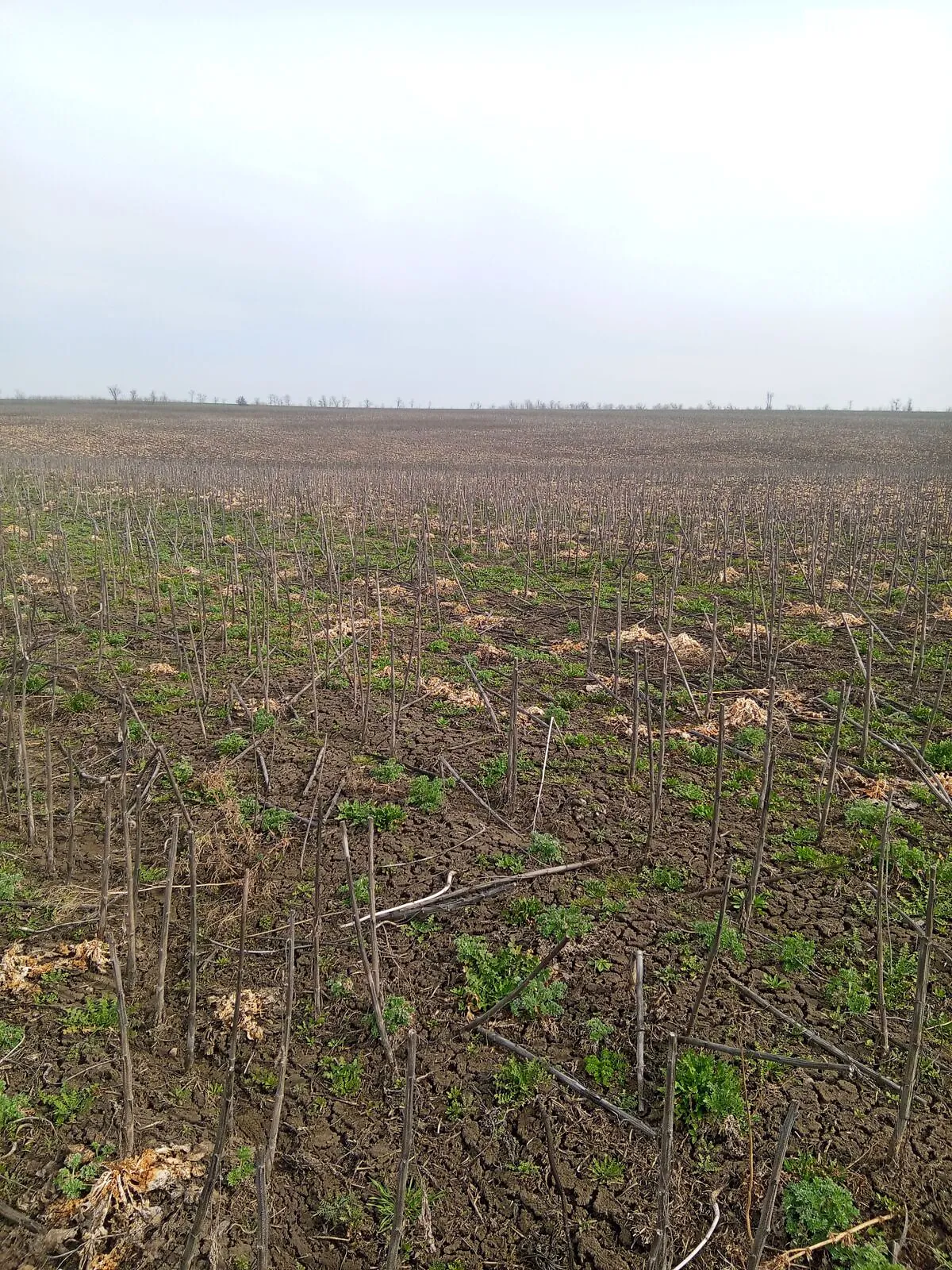 Сдается в аренду земельный участок 2.2972 соток в  области, цена: 9289 грн - фото 1