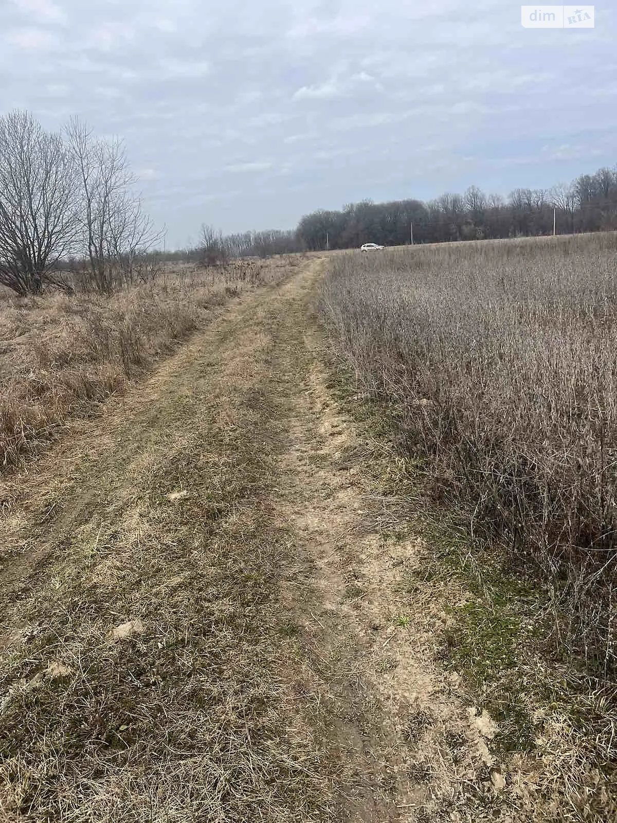 Зарванцы, цена: 450000 $ - фото 1