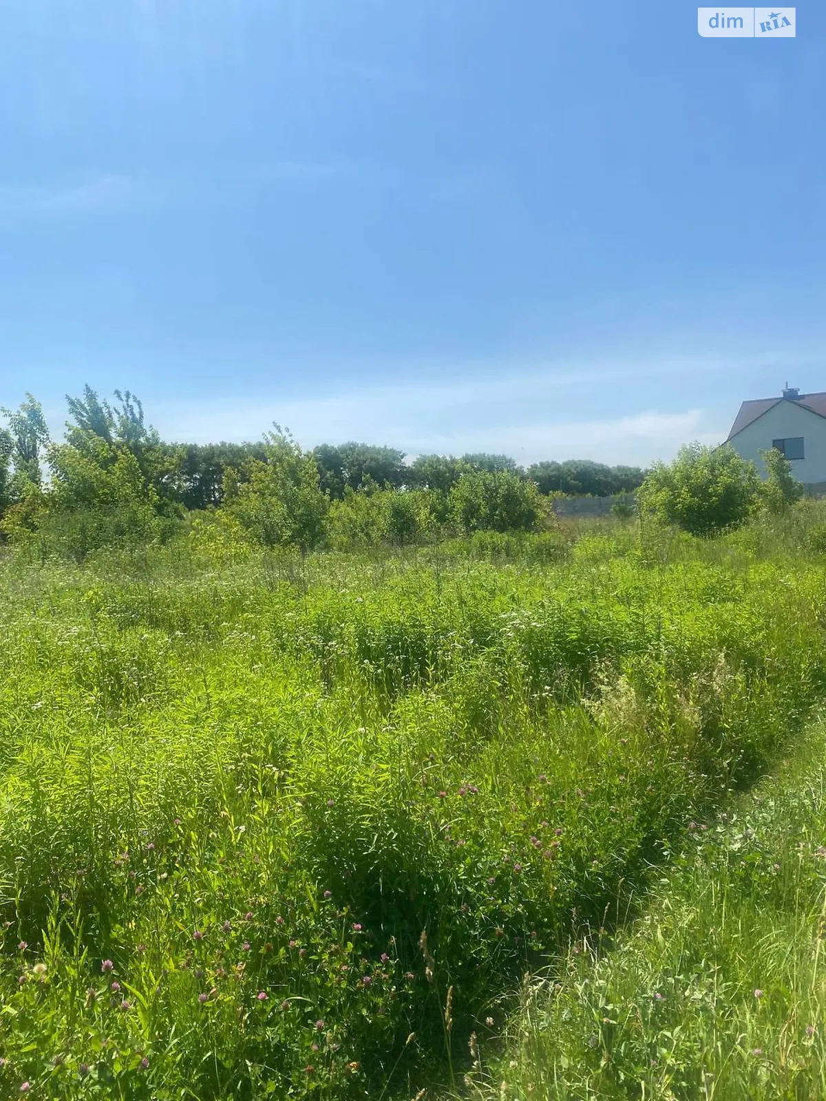 Продается земельный участок 10 соток в Хмельницкой области, цена: 7900 $ - фото 1