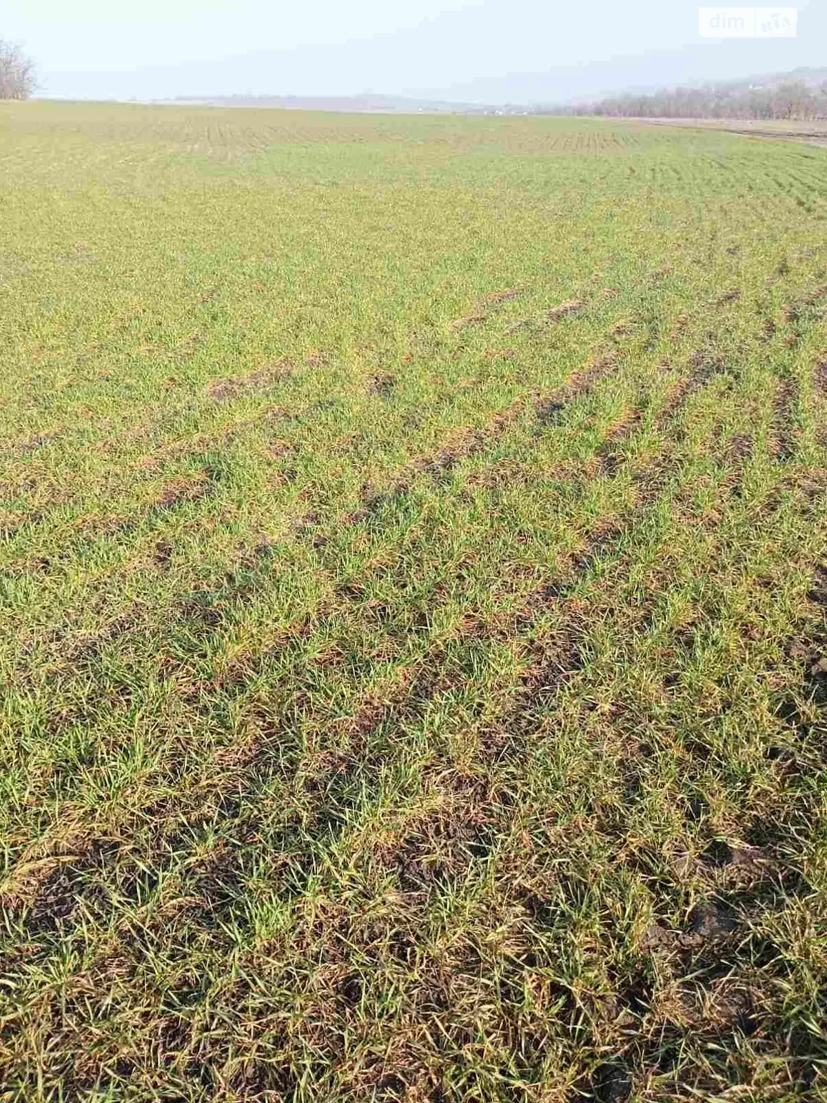 Євгенівка, цена: 13788 грн - фото 1