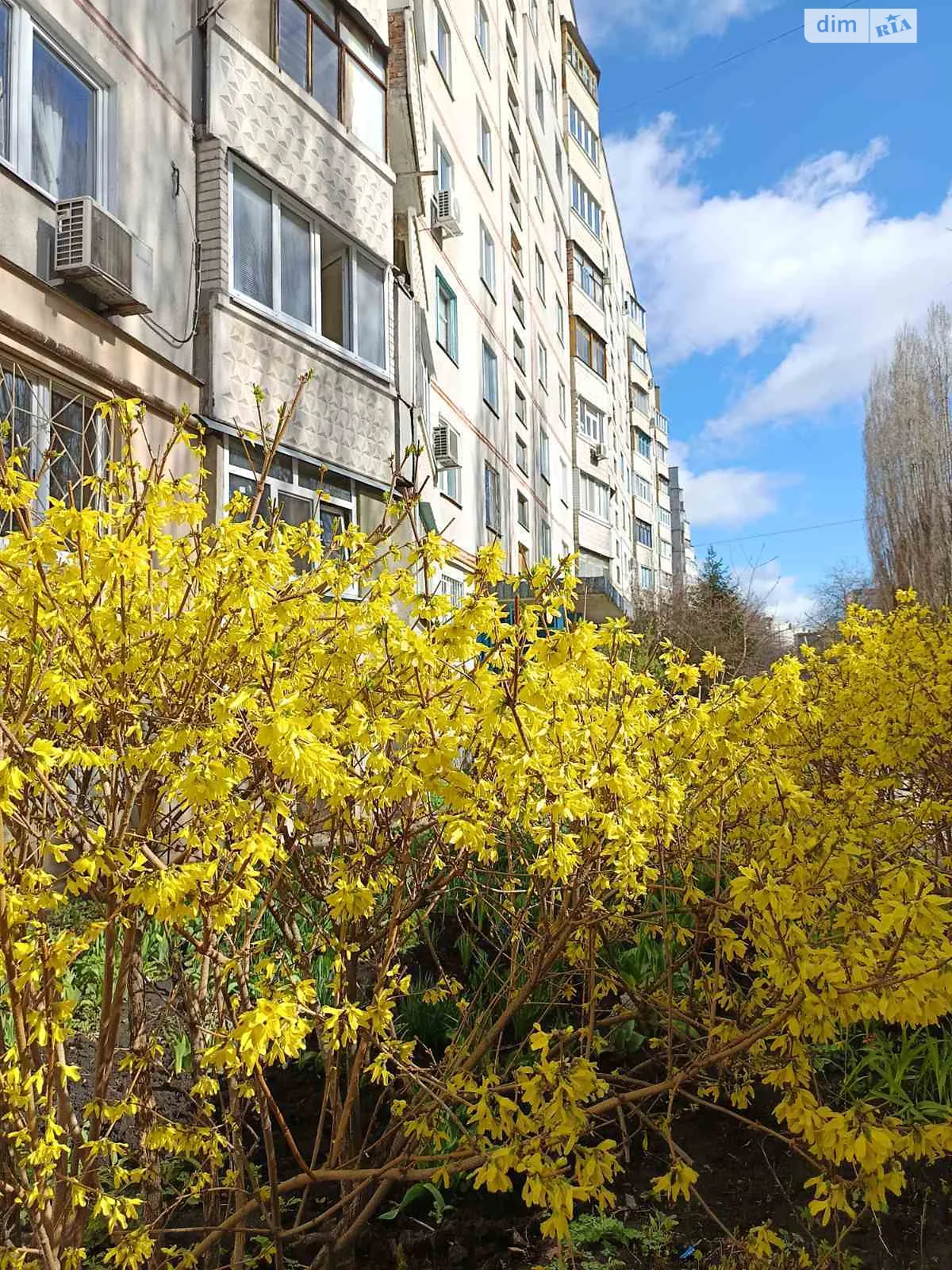 просп. Тракторостроителей, 134 Салтовский Харьков - фото 1