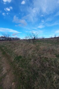 Продажа земли сельскохозяйственного назначения, Винницкая, Якушинцы