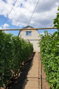 Купить землю под застройку в Николаевской области