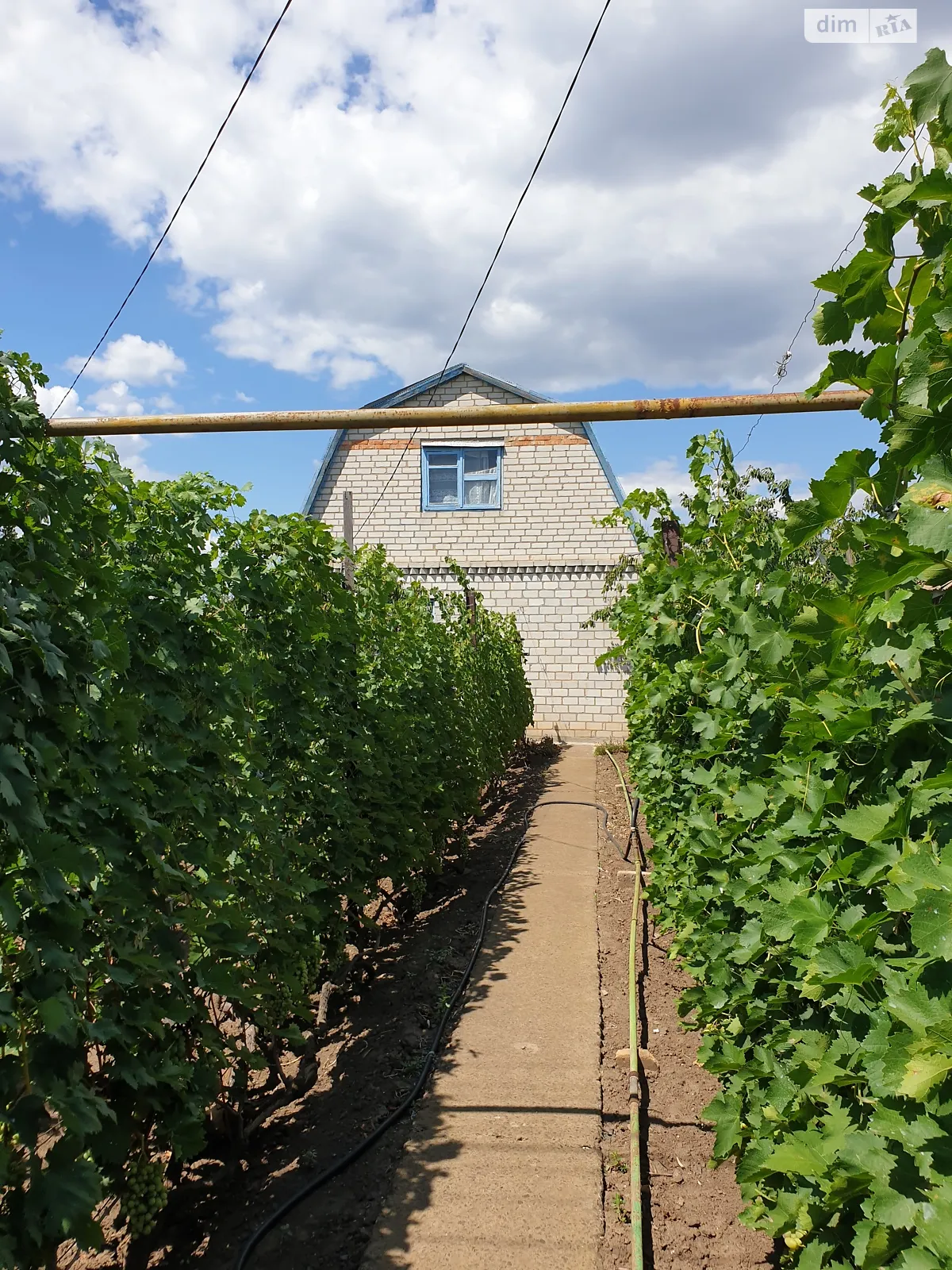 Продается земельный участок 5.7 соток в Николаевской области, цена: 30000 $ - фото 1