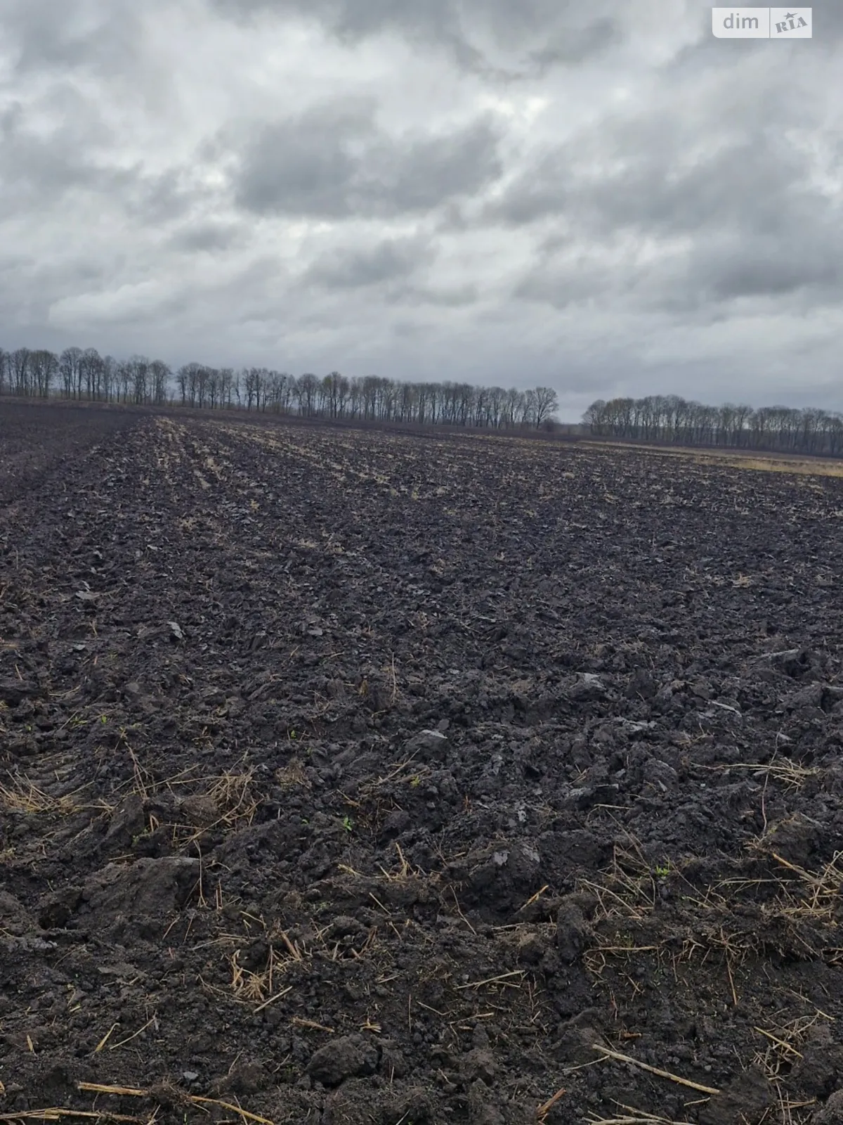 Продается земельный участок 1.4 соток в Винницкой области, цена: 140000 $ - фото 1