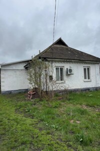 Продаж будинку, Полтавська, Решетилівка, р‑н. Решетилівка, Кобзарна (Горького) вулиця