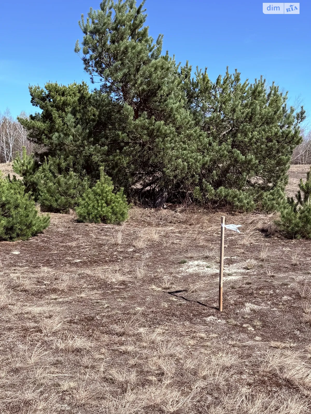 Продается земельный участок 25 соток в Киевской области, цена: 20000 $ - фото 1