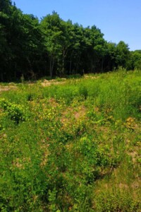 Продаж землі сільськогосподарського призначення, Тернопільська, Біла (Тернопіль)