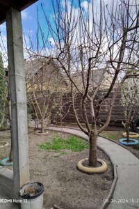 Куплю дом в Запорожье без посредников