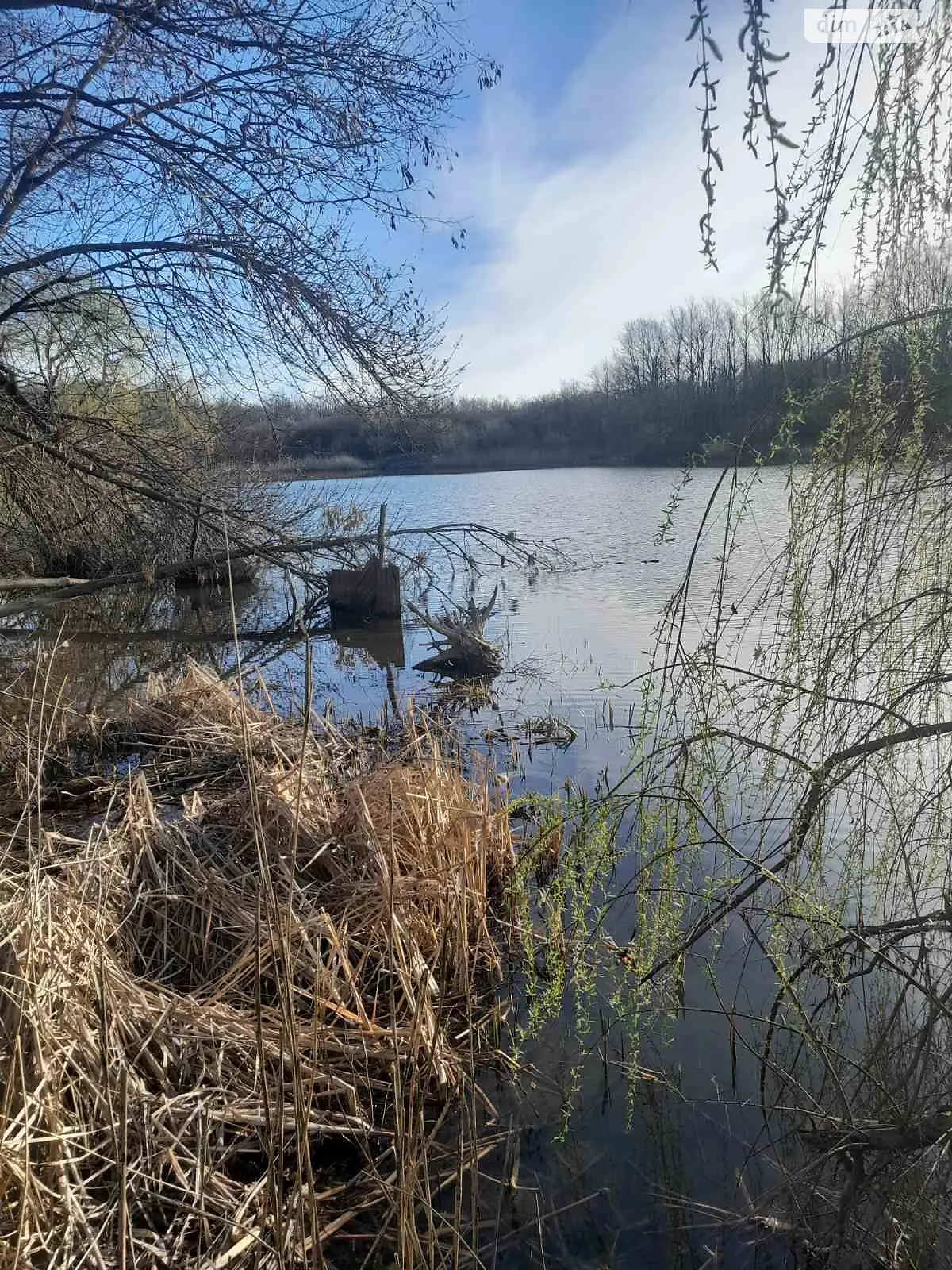 Сдается в аренду земельный участок 11.0403 соток в  области, цена: 10131 грн - фото 1
