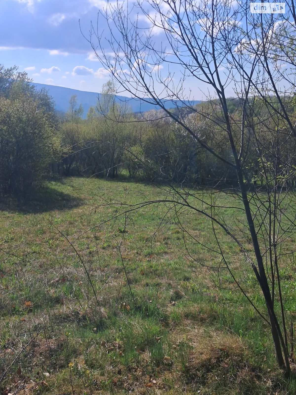 Продается земельный участок 30 соток в Закарпатской области, цена: 32000 $ - фото 1