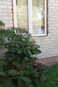 Куплю земельный участок в Городне без посредников